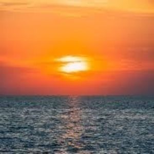 Meet your Posher, Lynn